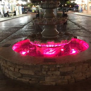 Meet your Posher, Bryanna